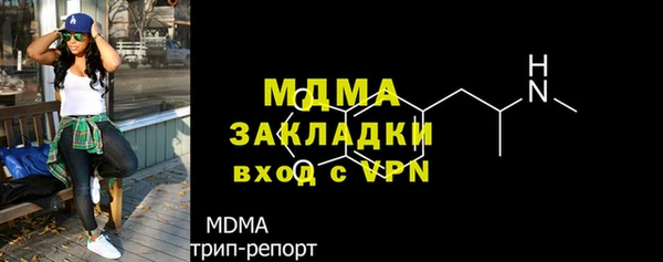 индика Богородск